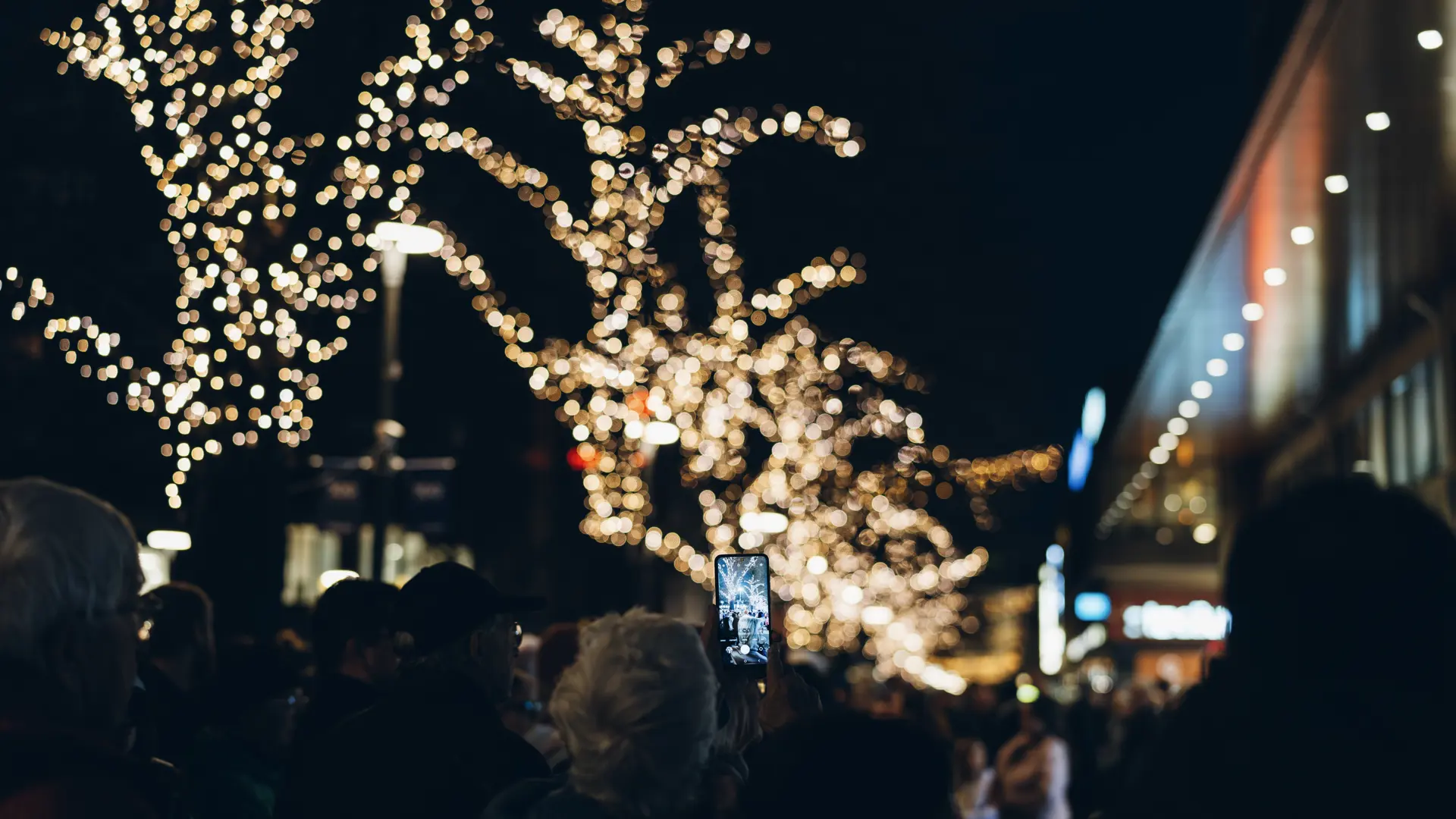 19 JW 241108 170409 Fullsize Webb Ljusfestival