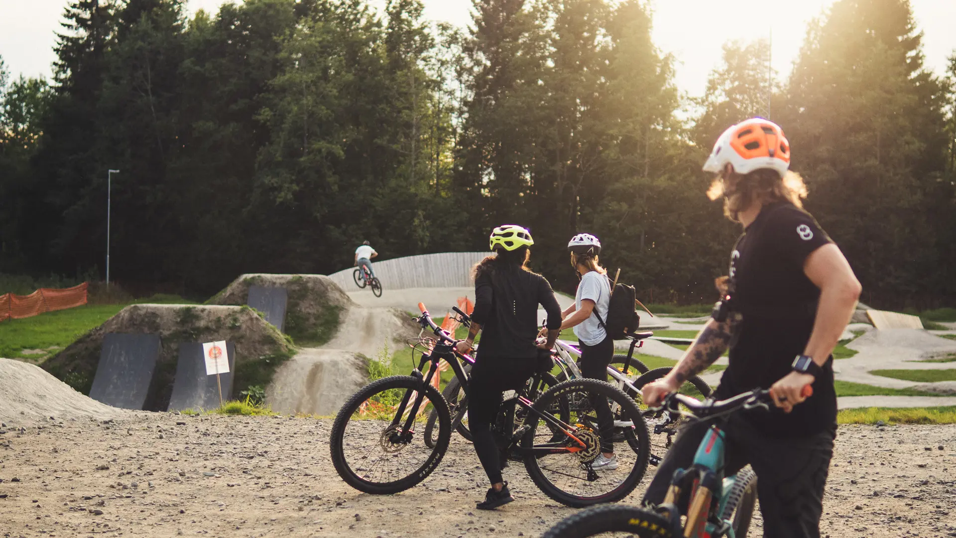 Skellefteå Bike Park Vitberget