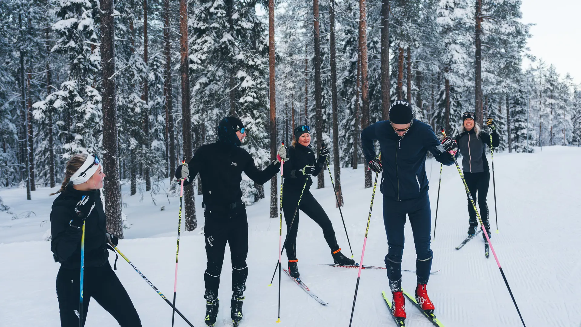 Jw 250131 150407 Fullsize Webb 2 Skidor